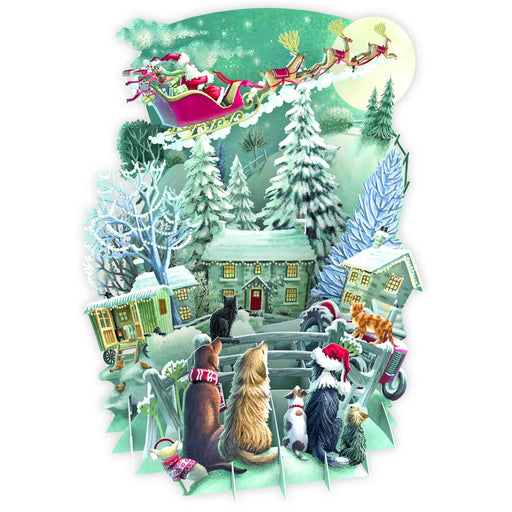 Piccadilly Greetings Biglietto Di Auguri Di Natale 'Da Tutti Noi' - 17,8 X 12,7 Cm - Con Busta - Pettirossi Su Filo