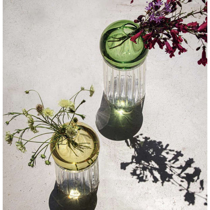 Allacorte Vaso Composto Green