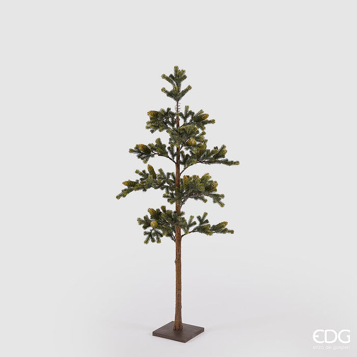 Pino con Pigne e Base h 138cm