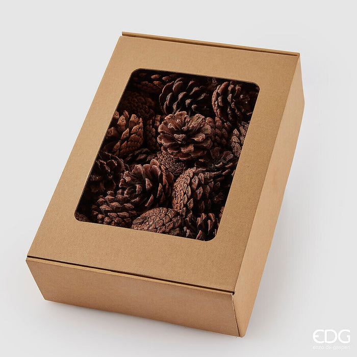 Box 48 Pigne Decoro