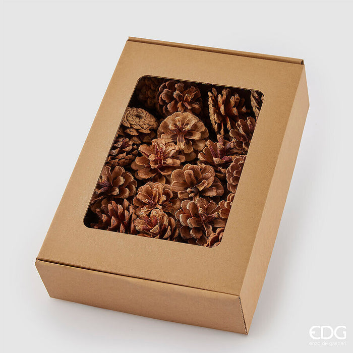 Box 48 Pigne Decoro