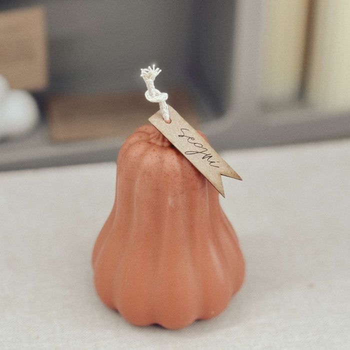 Autumn Butternut Candela Decor