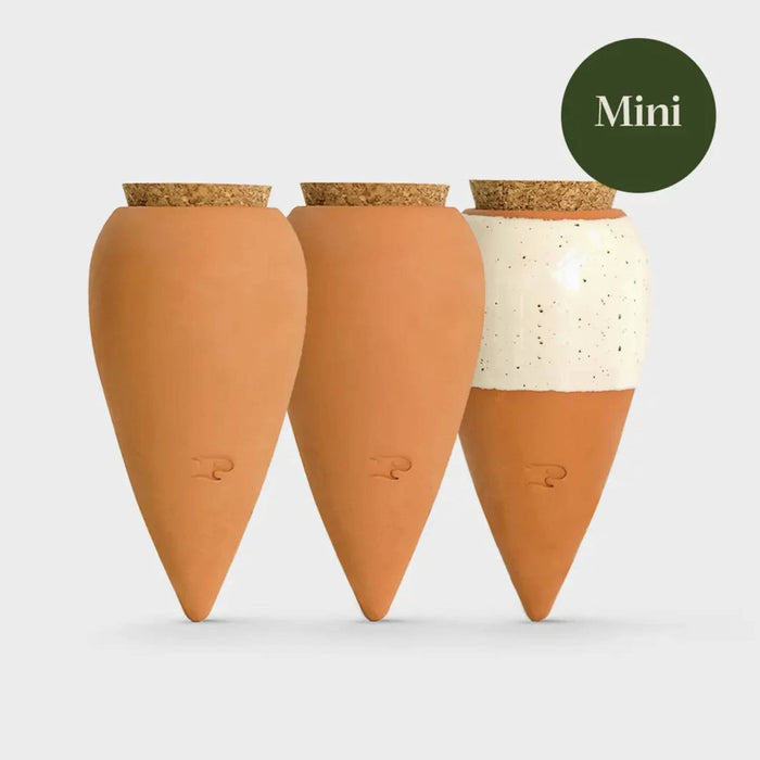 Box Trio Mini Ollas - gli Iconici