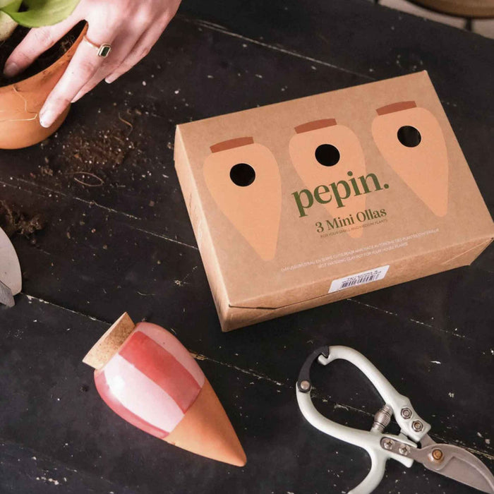 Box Trio Mini Ollas - le striate