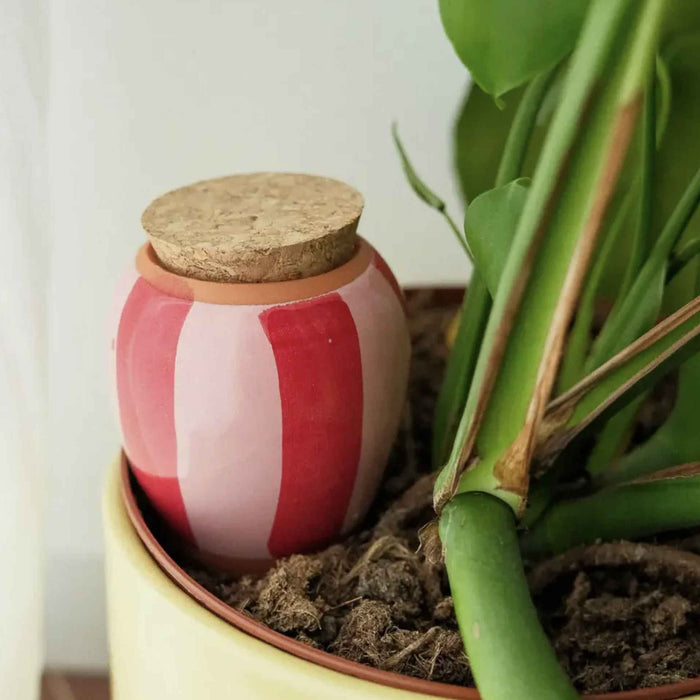 Olla - A righe rosa e rosse