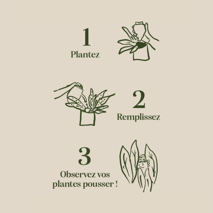 Olla - Bianco maculato