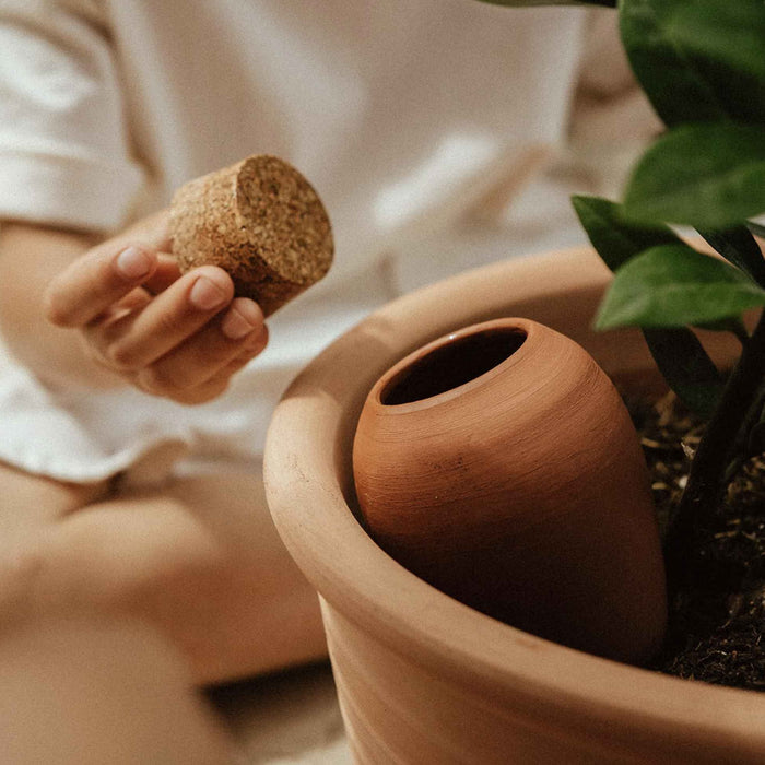 Olla - Terracotta