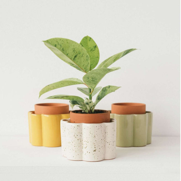 Vaso autonomo Paula - Verde