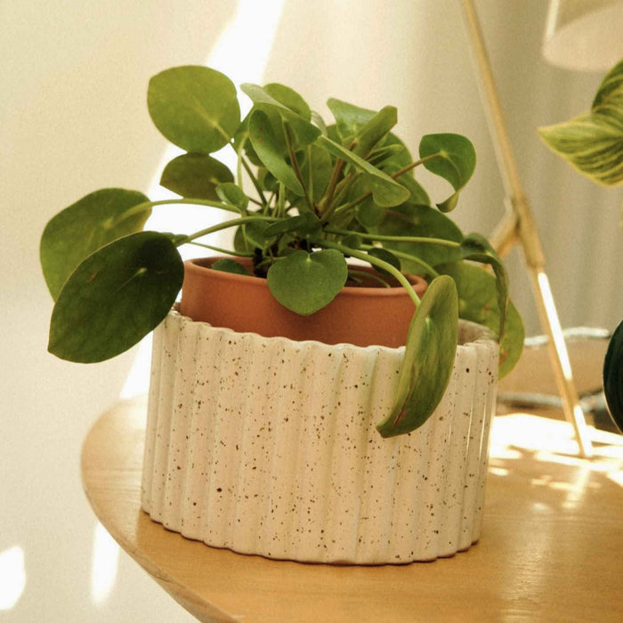 Vaso autonomo Paula - Bianco