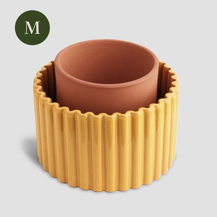 Vaso autonomo Paula - Giallo Senape