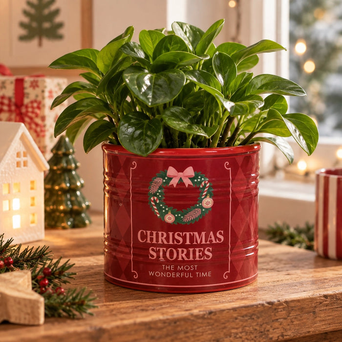 Vaso Christmas Stories