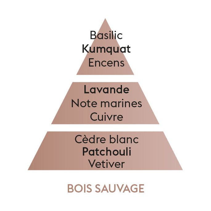 Bois Sauvage - Lampe Berger 500ml