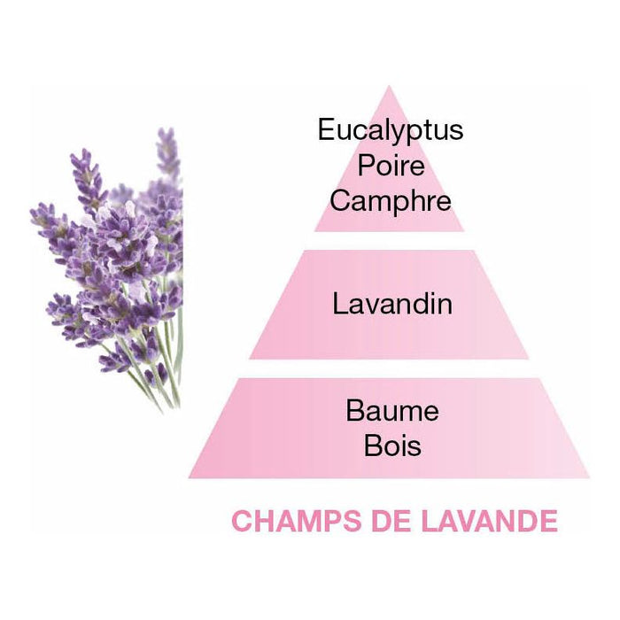 Champs de Lavande - Ricarica Lampe Berger