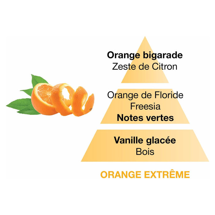Orange Extréme - Lampe Berger 500ml