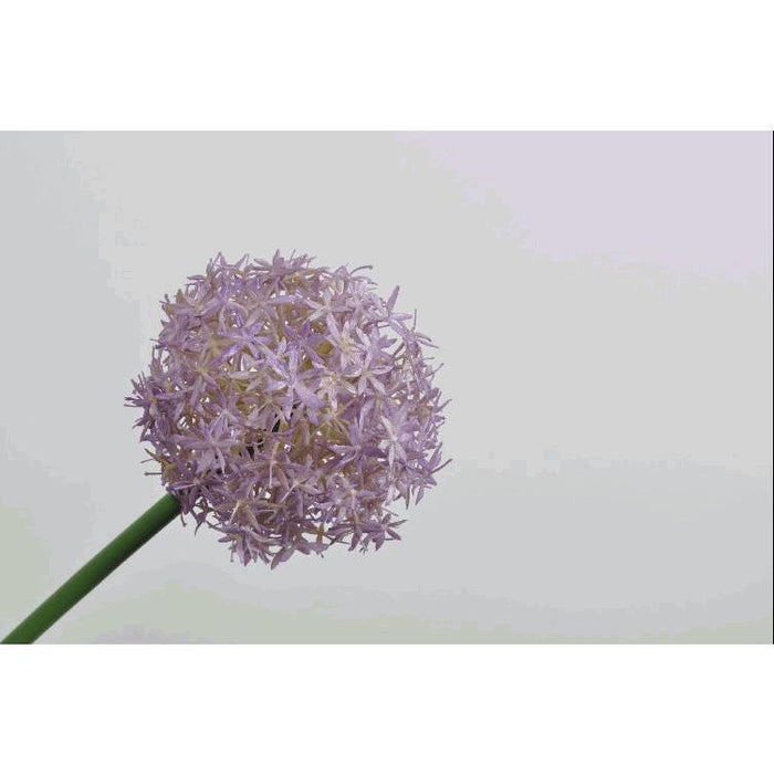 Fiore Aglio Silk-ka segni-particolari-home Fiori artificiali